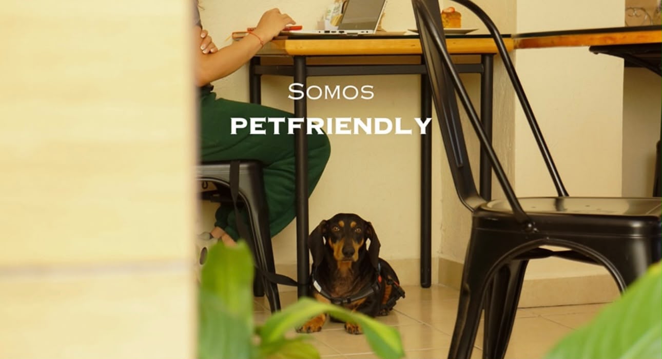 Mezcla de Café, un espacio para disfrutar juntos