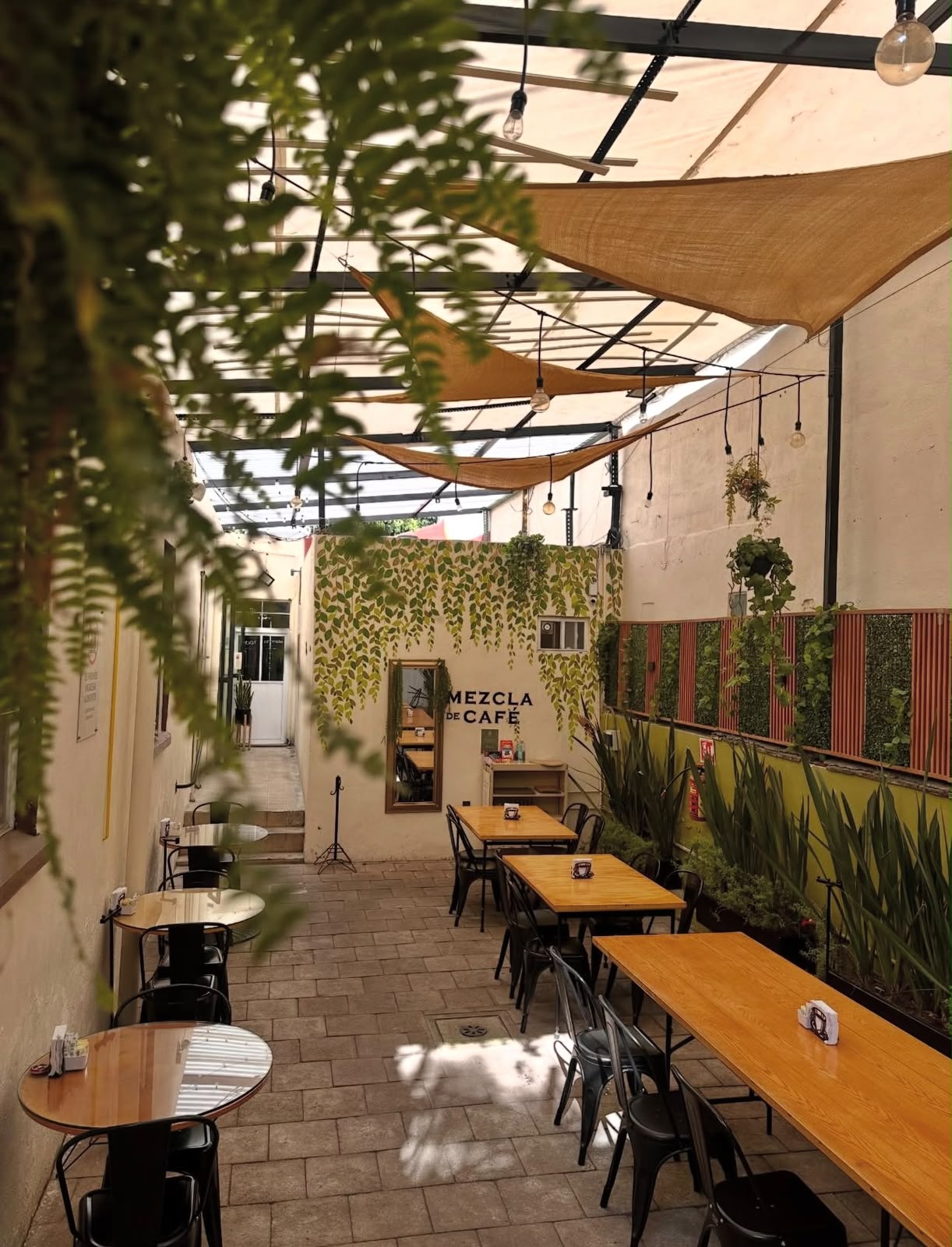 Terraza de Mezcla de Café